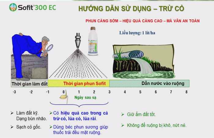 Syngenta và tôi: Sofit - Cruiser Sạch cỏ sung chồi (12-04-2022)